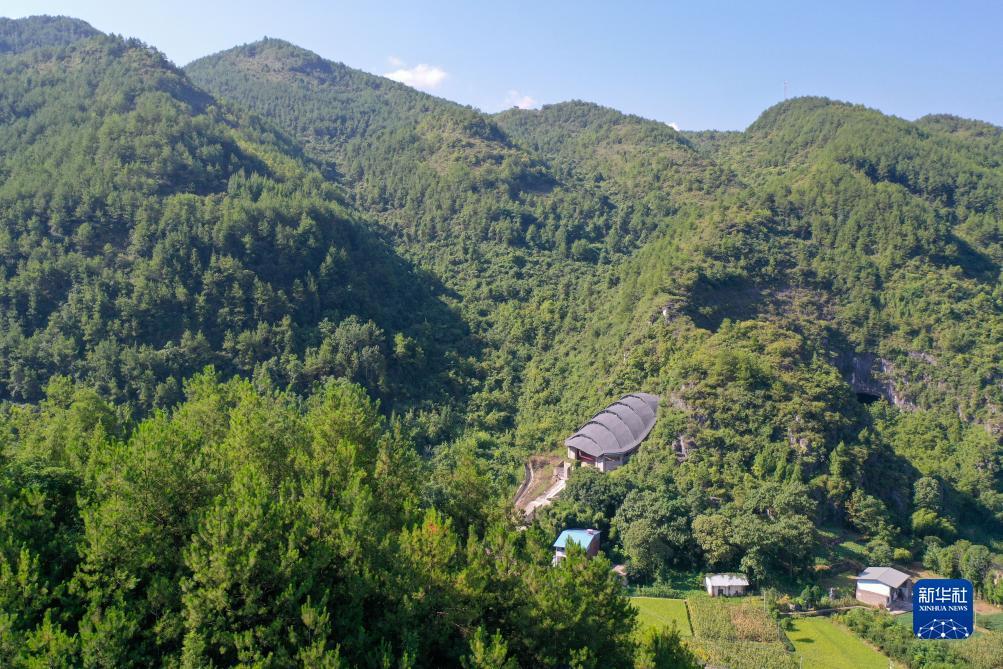 威廉立博胜负赔一致